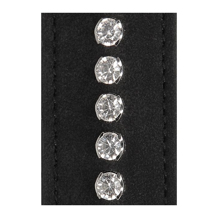Diamond Studded Collar with Leash - The Flirtation Station