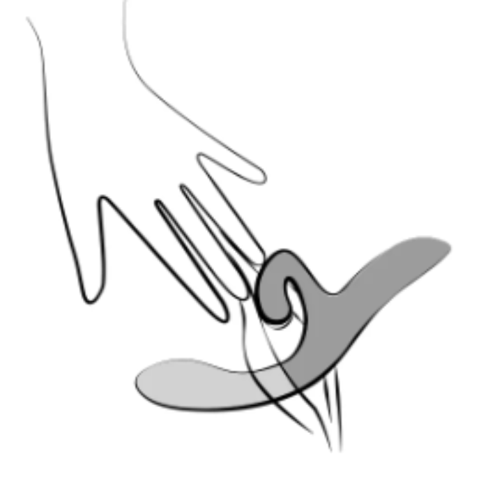 Hand holding We-Vibe Nova 2, illustrating comfortable, user-friendly grip