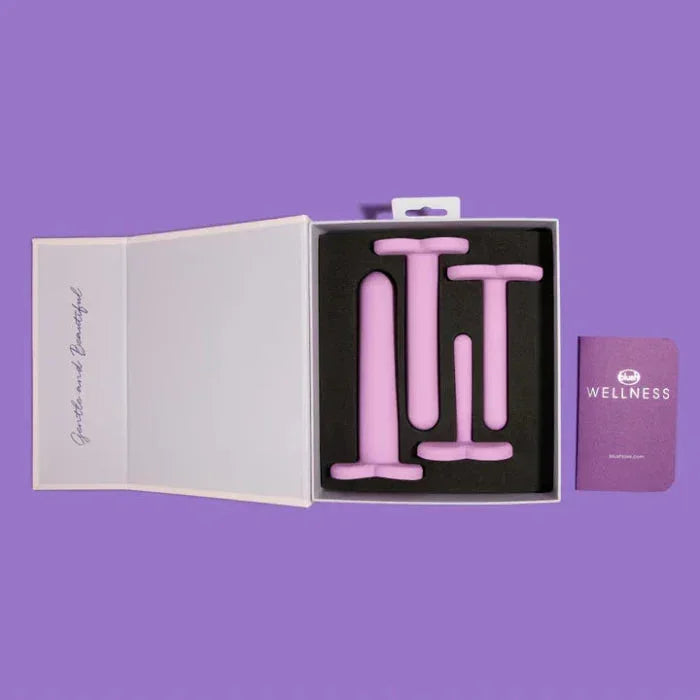 Wellness 4pc Dilator Set - The Flirtation Station