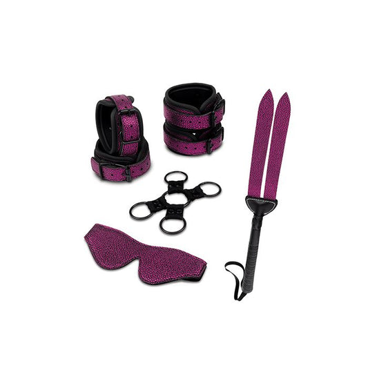 Complete Dragon’s Lair 7-piece BDSM kit components on white background