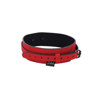 Collar y correa Amor
