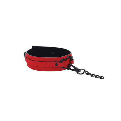Collar y correa Amor