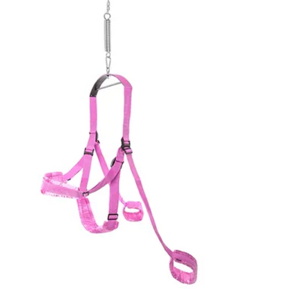 padded wrist cuffs and stirrups on exciting love swing